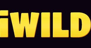 iwild casino logo wide